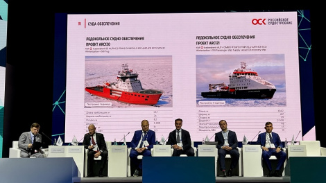 Перспективные проекты для работы на Северном морском пути